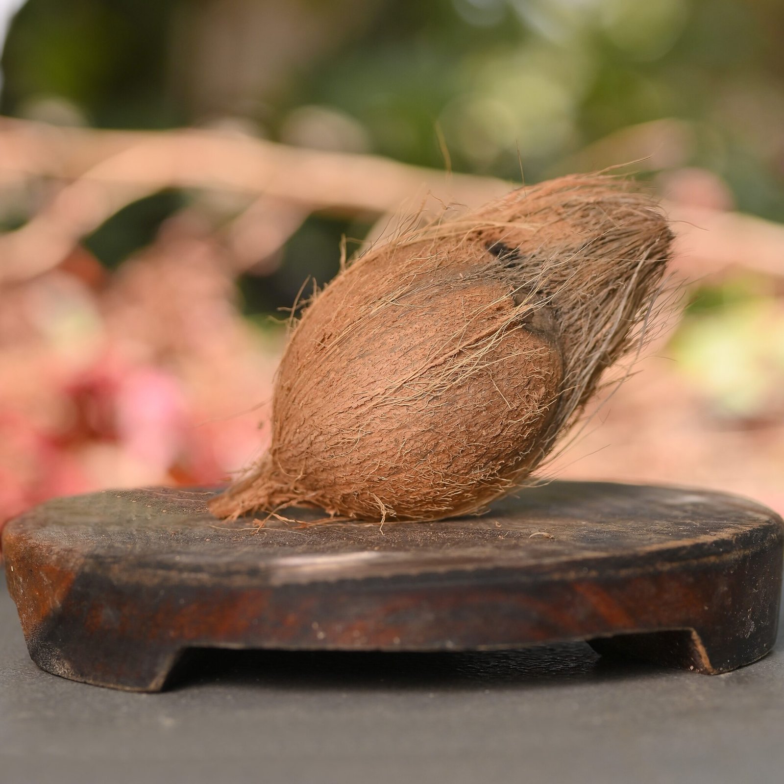 Coconut